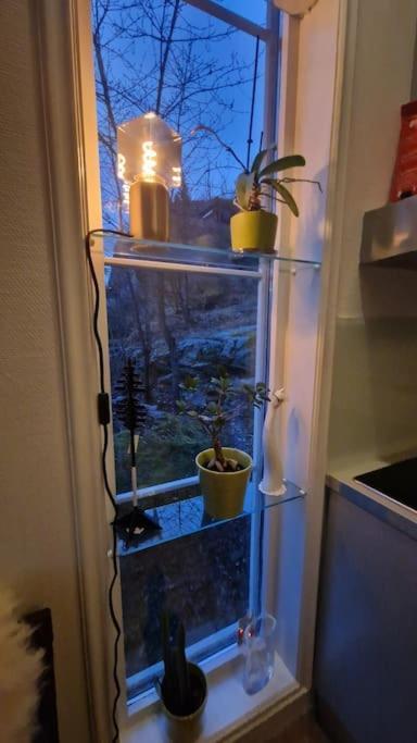 Solrikt Med Kort Avstand Til Byen Apartment
