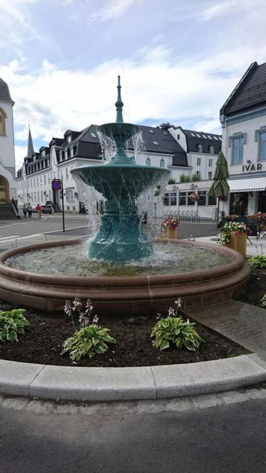 Solrikt Med Kort Avstand Til Byen Sandefjord